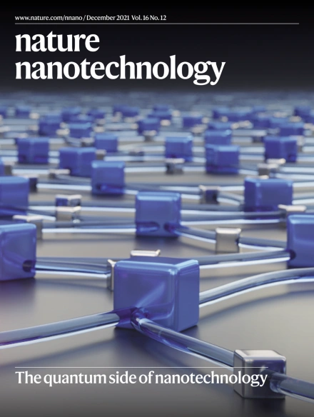 Dec 2021 Nature Nano cover
